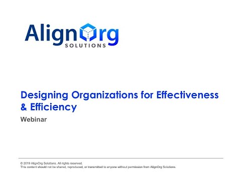 Designing Organizations for Effectiveness and Efficiency