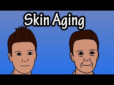 How Does The Skin Age - Skin Aging Process - Why Do We Get Wrinkles