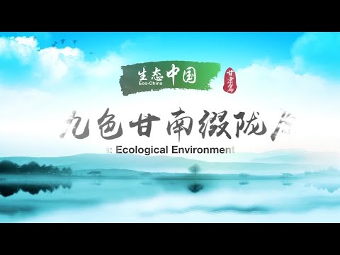 Eco-China: Gansu