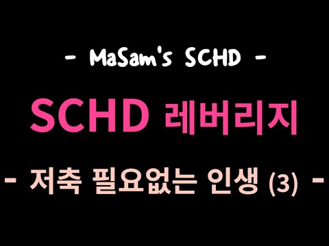 SCHD 레버리지 배당주 = 저축 필요없는 인생 (3) =