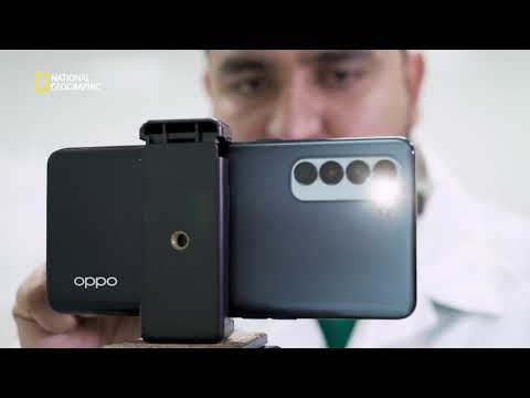 Revolutionising the World of Smartphones | Superfactories: Oppo | National Geographic