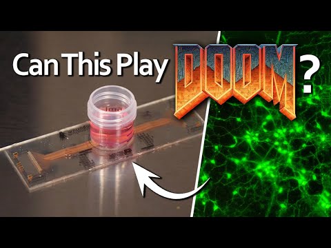 Growing Living Rat Neurons To Play... DOOM? | Part 1