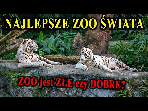 Najciekawsze Ogrody Zoologiczne Świata - Czy ZOO Jest Złe czy Dobre?