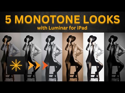 Luminar on iPad: Mastering Monotone Looks