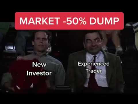 Mr Bean Market Rollercoaster - Experienced Investor HODL vs New Investor (crypto/stocks/meme)